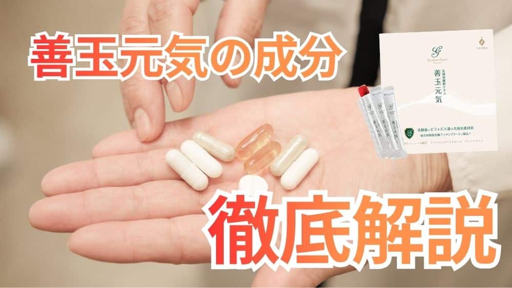 善玉元気の成分を乳酸菌ソムリエが読み解く